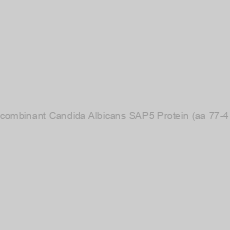 Image of Recombinant Candida Albicans SAP5 Protein (aa 77-418)